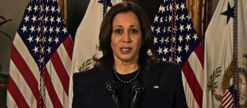 Kamala Harris said democracy has been in a global decline for the past 15 years (Image source: U.S. Department of State/YouTube)