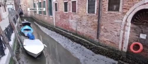 Exceptional low tide leaves canals almost empty in Venice (Image source: WION/YouTube)