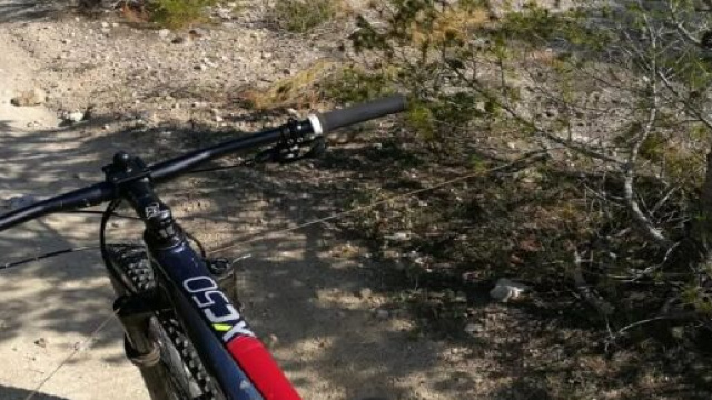 Lecce, cavi d'acciaio legati agli alberi sui sentieri dei biker.