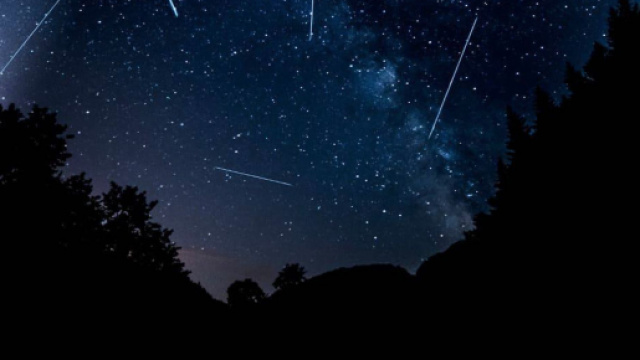 Previsioni astrali di giovedì 25 marzo: Toro soddisfatto, Leone creativo.