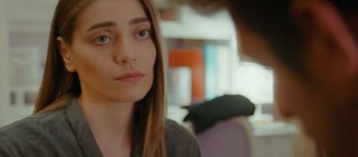 DayDreamer, puntata del 31 marzo: Emre e Leyla stressati a causa del lavoro.