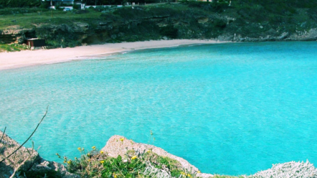 Le spiagge di Santa Teresa faranno da location al remake della Sirenetta.