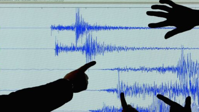 Terremoto con epicentro nell'Adriatico Centrale: scosse avvertite anche a Napoli e Roma.