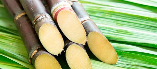 País populoso, Índia autoriza a fabricar etanol com produção excedente da cana-de-açúcar (Arquivo Blasting News)