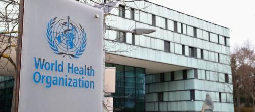 La WHO (OMS) comunica i dati della scomparsa dell'influenza a livello mondiale