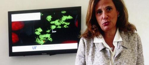 Coronavirus, Ilaria Capua: 'Virus non andrà via neanche con il vaccino'.