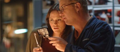 William Petersen e Jorja Fox riconfermano la loro partecipazione a Csi Vegas, sequel della serie che li ha resi celebri.