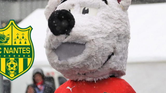 Erminig, la mascotte du Stade Rennais (Source : Capture d'&eacute;cran)