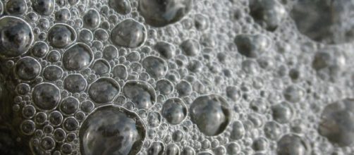 Imagen de embriones en microscopio (DerRichter: Flickr.com)