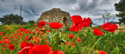 L'oroscopo della settimana dal 26 aprile al 2 maggio: molto bene Cancro e Leone (1^ parte).