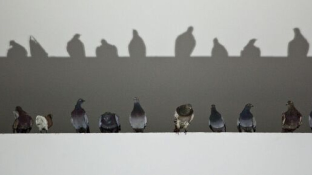 Maurizio Cattelan, Others,2011, / Courtesy Archivio Cattelan Foto Zeno Zotti.