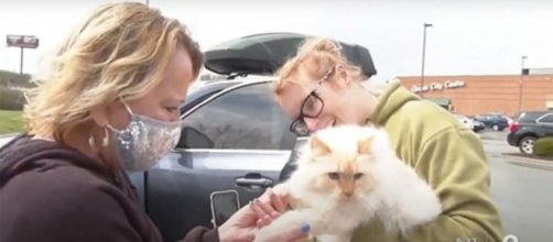 Elle retrouve son chat des années après l'avoir perdu - Photo capture d'écran vidéo Youtube