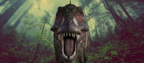 I T-rex erano veloci meno della metà di quello che si pensa: Importante studio rivela che i dinosauri più temuti andavano "solo" a 4,5 km/h