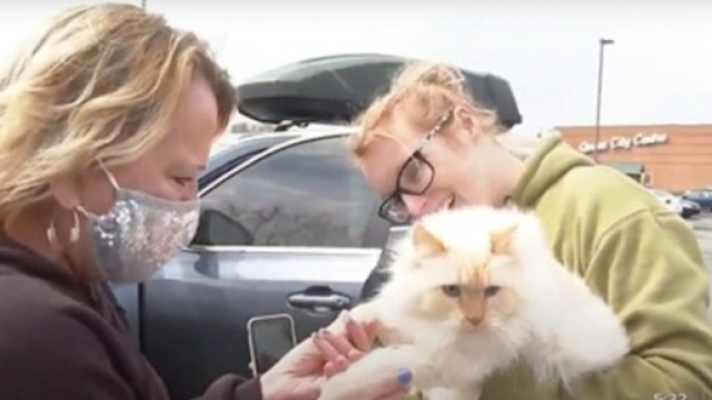 Elle retrouve son chat des années après l'avoir perdu - Photo capture d'écran vidéo Youtube