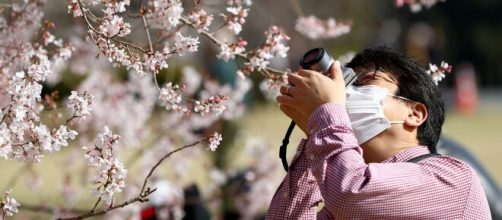 Hanami in giappone, fiori di ciliegio e primavera.