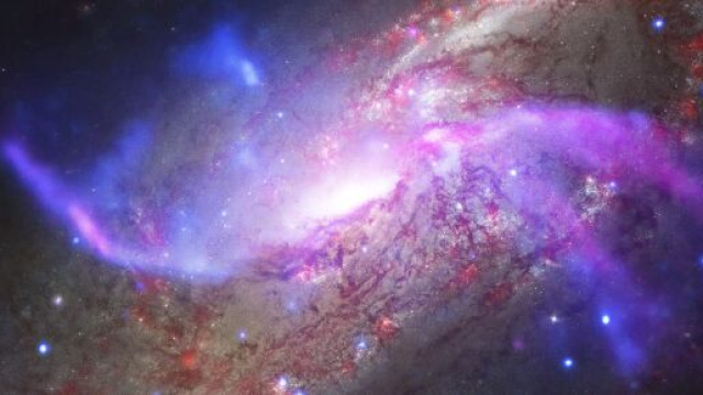 Predizioni oroscopo della giornata di lunedì 17 maggio 2021