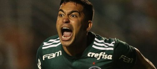 Dudu retorna ao Palmeiras. (Arquivo Blasting News)