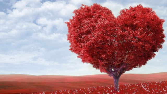 Oroscopo e classifica sull'amore di giugno: Cancro sereno, Scorpione affettuoso.