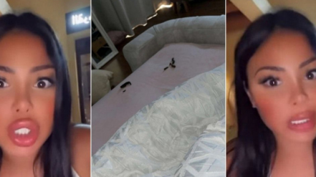 LMAD : Maeva Ghennam critiquée sur Twitter pour avoir dormi avec le caca de son chiot, elle pousse un coup de gueule.