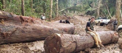 Ricardo Salles posando em tora de madeira ilegal apreendida no Pará (Divulgação/Ministério do Meio Ambiente)