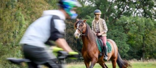 Tempesta d'amore, trame tedesche: Amelie ha un incidente durante una passeggiata a cavallo.