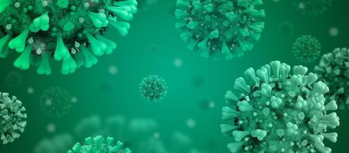 Due studi americani confermerebbero una robusta risposta immunitaria dopo l'infezione