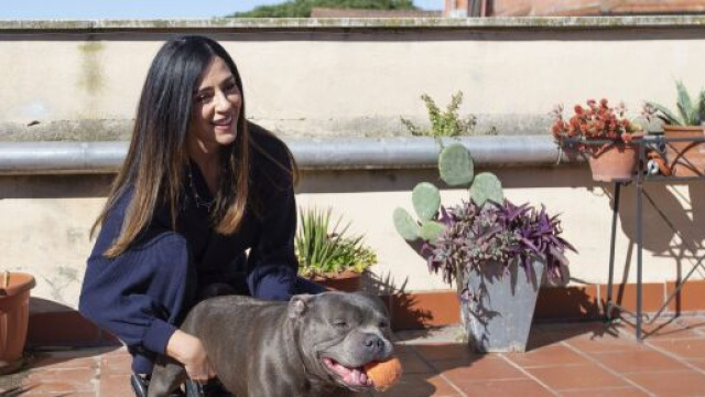 Raffaella Mennoia propone una soluzione sugli spoiler: 'Mancanza di rispetto'.