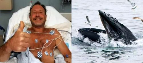 El pescador de langostas fue hospitalizado sin heridas luego de permanecer en el interior de una ballena (Foto Familia Packard)