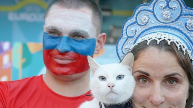 Achille est devenue le pronostiqueur préféré des internautes - Source : Capture d'écran, Instagram @achillcat