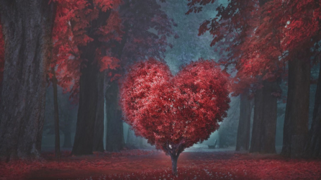 Oroscopo e classifica sull'amore di luglio: voglia di diventare genitore per l'Ariete.