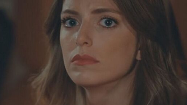 Love is in the air, trama del 17 giugno: Selin litiga con Ferit a causa di Bolat.