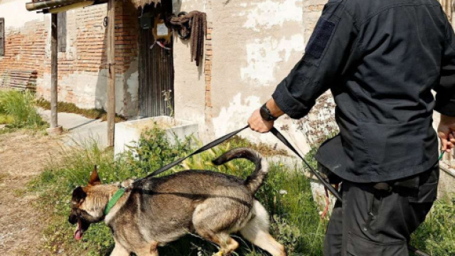 Saman, la madre avrebbe inviato un sms per indurla a tornare a casa | virgilio.it