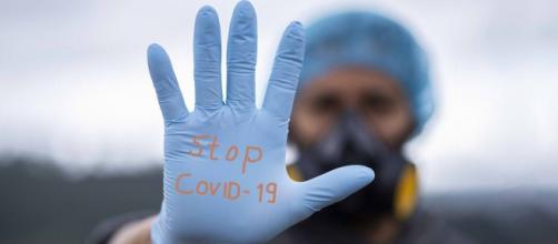 El estudio realizado por la revista Nature afirma: Infectados de Covid-19 generan anticuerpos de por vida (fernando zhiminaicela / Pixabay)