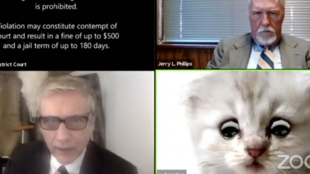 Un avocat américain a été contraint malgré lui de participer à un procès sous les traits d'un chaton - Source : capture d'écran @Vice