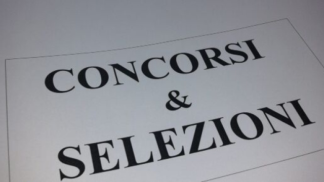 Università del Molise, concorso per 12 assunzioni a tempo indeterminato in categoria D.