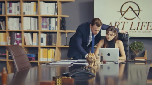 Love is in the air trama 7-06: l'idea di Yildiz riesce a salvare il progetto dell'Art Life.