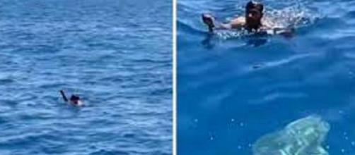 Un homme se jette à l’eau remplie de requins pour sauver un petit oiseau (Credit : Instagram Jalil Najafov)