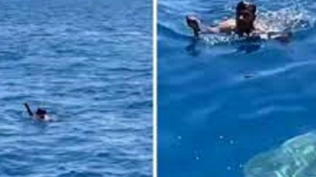 Un homme se jette à l’eau remplie de requins pour sauver un petit oiseau (Credit : Instagram Jalil Najafov)