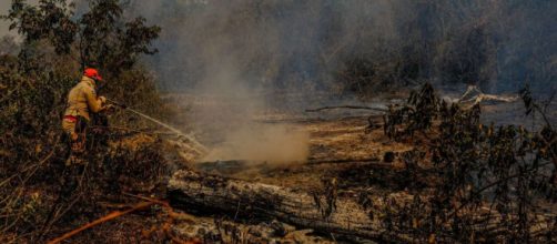 Governo Bolsonaro tira do Inpe divulgação sobre queimadas no país (Mayke Toscano/Secom-MT)