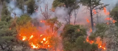 Nine new wildfires erupt across western U.S. (Image source: CBS Evening News/YouTube)