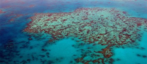 UNESCO flags risk to Australia’s Great Barrier Reef (Image source: Flickr/steinchen)
