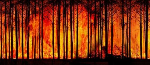 At least 67 homes burned down due to large-scale fires in the U.S./Photo via Geralt, Pixabay