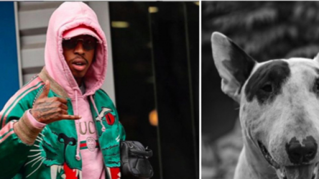 Le chien de Presnel Kimpembe retrouvé battu en banlieue de Paris - Source : Montage Blasting