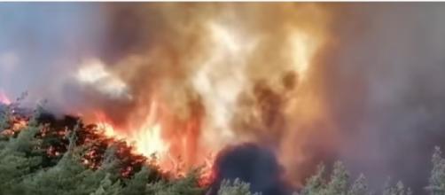 At least four people killed in wildfires in Turkey (Image source: WION/YouTube)