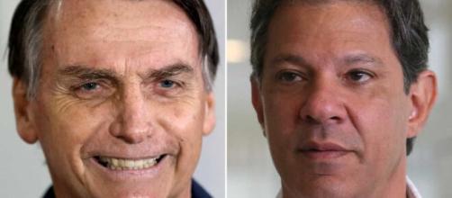 Bolsonaro perde até mesmo para uma possível candidatura de Fernando Haddad, diz pesquisa (Fotomontagem)