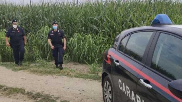 San Giuliano Milanese, trovate morte in un campo di mais due donne.