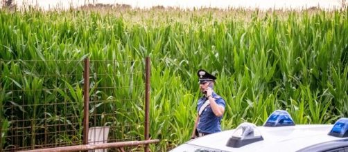 Francesco Pantaleo, il mistero dello studente trovato morto carbonizzato nelle campagne pisane sarà risolto solo dall'autopsia.