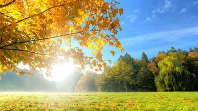 Previsioni oroscopo del mese di settembre 2021 per la prima sestina dello zodiaco.