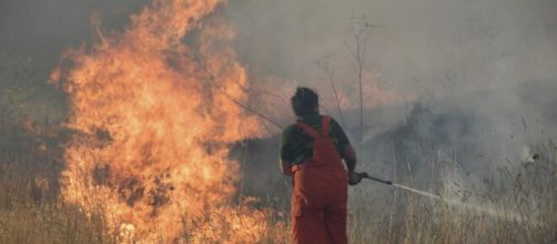 Incendi in Calabria: morto carbonizzato 78enne.