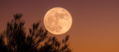 L'oroscopo di domani, sabato 7 agosto: Luna in Leone, Gemelli vincenti in amore (1ª metà).